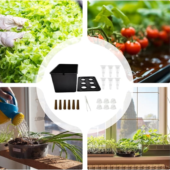 PP Hydroponic Seedling Box 195 g Food Grade Polypropylene Soil Free Germination Kit with Lid, Breathable Mesh Water Reservoir Base Black