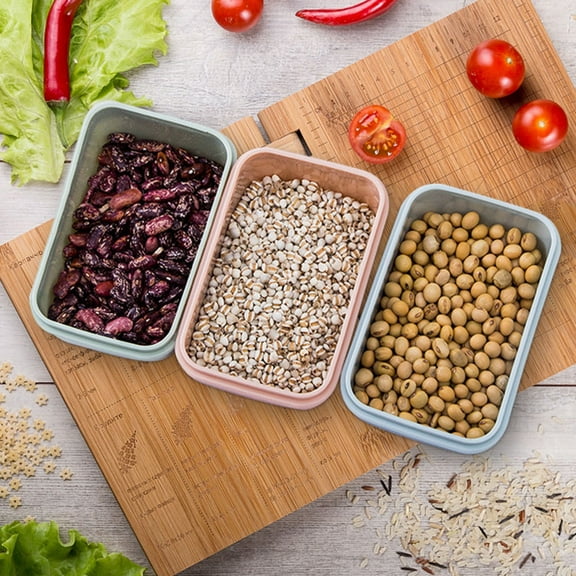 PPLoney Plastic Mini Food Storage Box - Small Lunch Box for Freshness and Convenience, Eco-Friendly, Ideal for Grains and Dry Goods, Easy to Clean, Perfect for Picnics and Outings