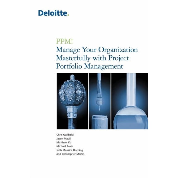 PPM! Manage Your Organization Masterfully with Project Portfolio Management