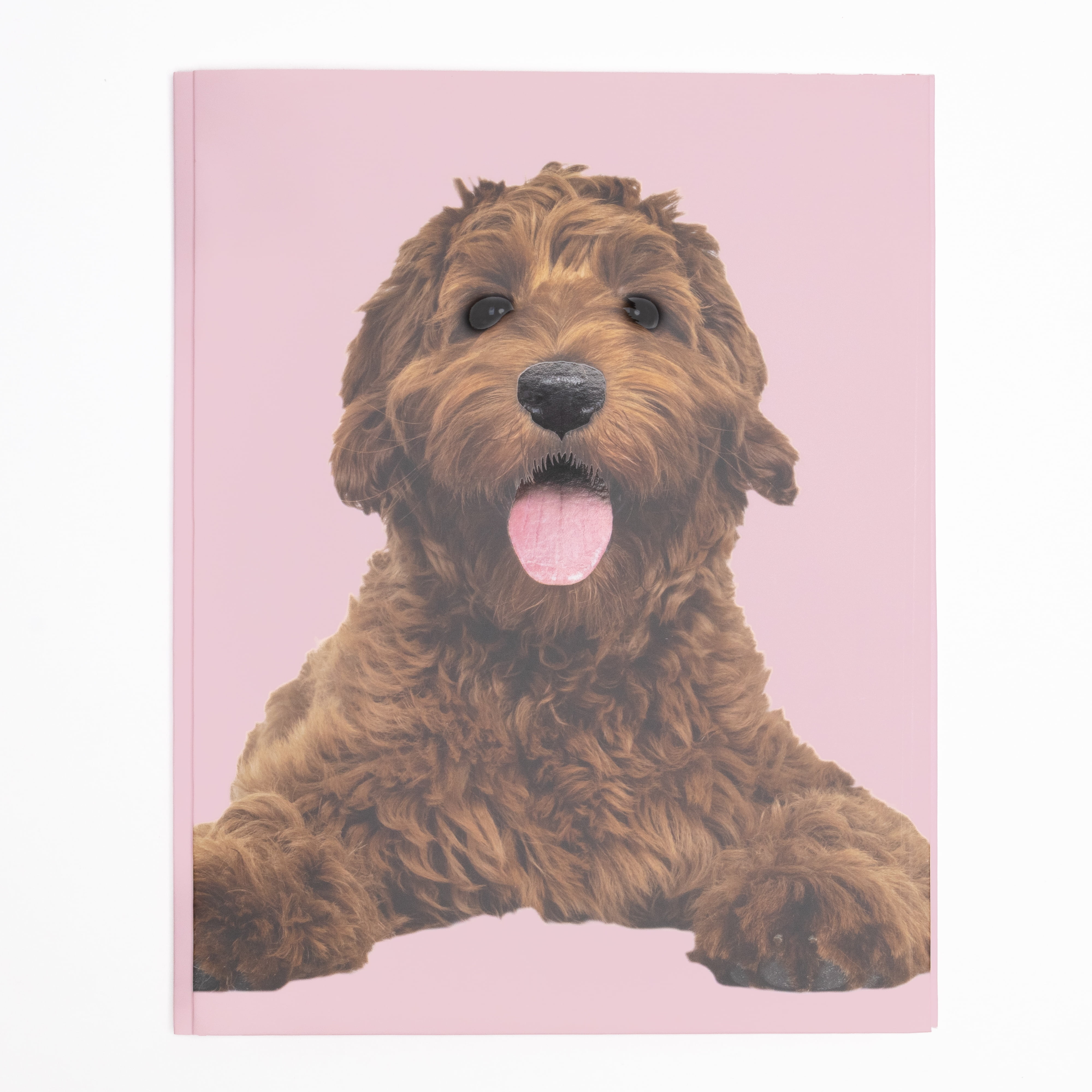 Ecokind by U Style Golden Doodle Two-Pocket Folder with Prongs, 11.6" x 9.25"