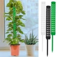 thumbnail image 1 of PPgejGEK Moss Pole for Plants 36 Inches Green Ivy Climbing Stick Water Moss Column Support for Monstera Pothos Indoor Outdoor Garden Growth Tool Plastic Moisturizing Structure, 1 of 9