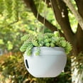 thumbnail image 1 of PPgejGEK Small Hanging Rattan Basket Planter Water Barrier Design Root Rot Prevention Wall Mount Garden Home Decor, 1 of 6