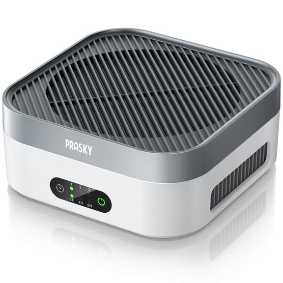 PRASKY Air Purifier for Home 600 Sq Ft Coverage, True HEPA Filter for Pets, Smoke & Allergies | Quiet & Portable for Bedroom/Travel/Car (Gray)