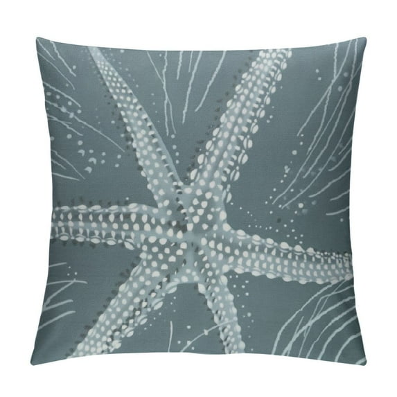 PRATYUS Coastal Pillow Covers , Seafoam Blue Starfish Throw Pillow Covers Beach Pillowcase Nautical Decor for Indoor Outdoor Home Sofa Bedroom Living Room White