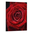 thumbnail image 1 of PRATYUS Fall Decor Dew-Red Rose Canvas Prints Wall Art 16x20in, 1 of 3