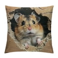 thumbnail image 1 of PRATYUS Hamster Throw Pillow Cover Brown Mouse Pillow Cover 3D Cute Animal Cushion Cover Kawaii Pet Living Room Decorative Pillow Cover for Kids Boys Girls Teens White, 1 of 5