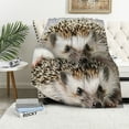 thumbnail image 1 of PRATYUS Hedgehog Throw Blanket, Atelerix Albiventris Photography with Mother and Love and Family Theme, Flannel Accent Piece Soft Couch Cover for Adults 50x60in, 1 of 6