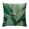 thumbnail image 1 of PRATYUS Tropical Leaves Throw Pillow Covers Decorative Summer Green Succulent Plant Square Outdoor Cushion Cover Pillow Cases for Patio Couch 18x18in, 1 of 5