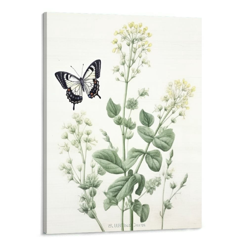 PRATYUS Wall Art Sage Green Plant Canvas Flower Pictures Butterfly Artwork Watercolor Eucalyptus Minimalist Rustic Leaves Prints Painting for Kitchen 16x20inch