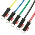 thumbnail image 1 of PRCTZ Resistance Exercise Tube Bands Set, Includes Resistance Tubes bands, Handles, Ankle Straps, Door Anchor, Multi-Color Set, 1 of 7