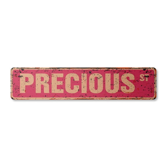 PRECIOUS Vintage Aluminum Street Sign Childrens Name Room Metal Sign rustic metal tin | Indoor/Outdoor | 18" Wide
