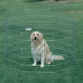 thumbnail image 1 of PRECISION PET PRODUCTS, 1 of 3