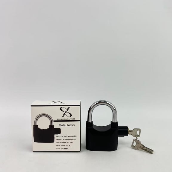 PREMIER SCULPTURE Metal locks,Alarmed Anti Theft Padlock, Aluminum Alloy Anti Theft Security Padlock 110db Alarm Volume Siren Alarm Lock for Motorcycle Door Window, Black