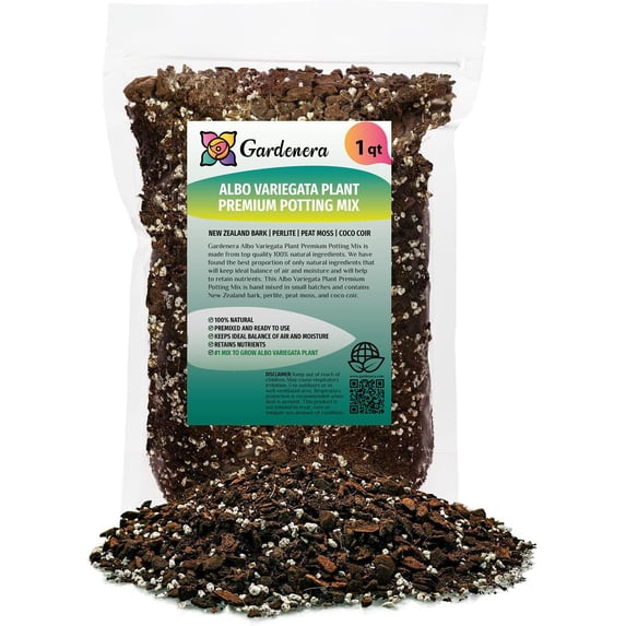 ⭐ PREMIUM Albo Variegata Soil Mix - Thriving Foliage and Root Development by Gardenera Labs - 1 Quart