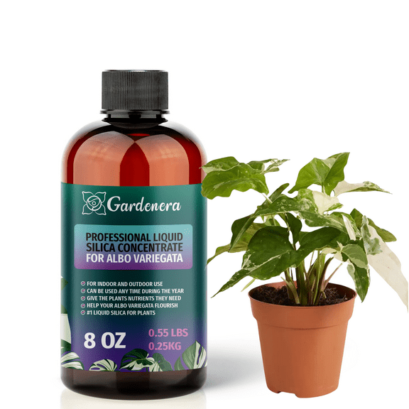 ⭐ PREMIUM Bioavailable Silica Fertilizer for Albo Variegata – 8oz – Ideal for Hydroponics & Soil – Healthier Plants with Strong Stalks - CONCENTRATE