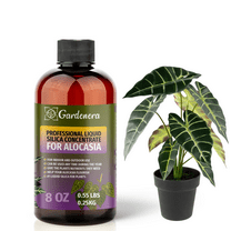 ⭐ PREMIUM Bioavailable Silica Fertilizer for Alocasia – 8oz – Ideal for Hydroponics & Soil – Healthier Plants with Strong Stalks - CONCENTRATE
