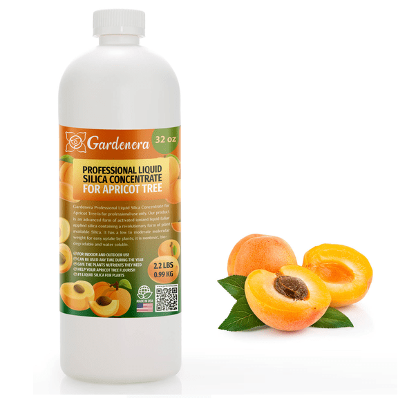 ⭐ PREMIUM Bioavailable Silica Fertilizer for Apricot Tree – 32oz – Ideal for Hydroponics & Soil – Healthier Plants with Strong Stalks - CONCENTRATE
