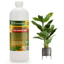 ⭐ PREMIUM Bioavailable Silica Fertilizer for Banana Tree – 32oz – Ideal for Hydroponics & Soil – Healthier Plants with Strong Stalks - CONCENTRATE