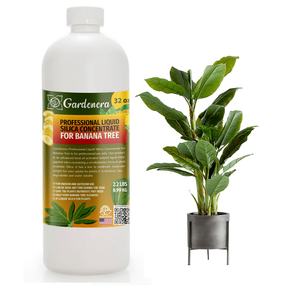 ⭐ PREMIUM Bioavailable Silica Fertilizer for Banana Tree – 32oz – Ideal for Hydroponics & Soil – Healthier Plants with Strong Stalks - CONCENTRATE