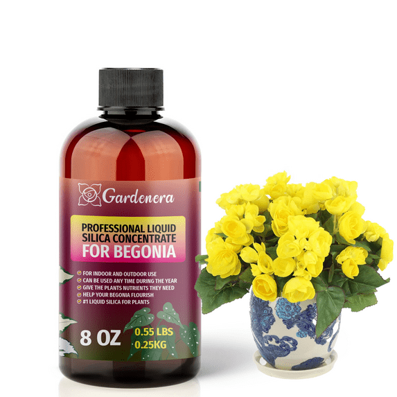 ⭐ PREMIUM Bioavailable Silica Fertilizer for Begonia – 8oz – Ideal for Hydroponics & Soil – Healthier Plants with Strong Stalks - CONCENTRATE