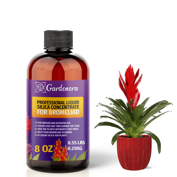 ⭐ PREMIUM Bioavailable Silica Fertilizer for Bromeliad – 8oz – Ideal for Hydroponics & Soil – Healthier Plants with Strong Stalks - CONCENTRATE