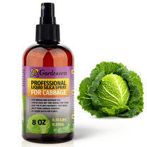 ⭐ PREMIUM Bioavailable Silica Fertilizer for Cabbage – 8oz – Ideal for Hydroponics & Soil – Healthier Plants with Strong Stalks - SPRAY