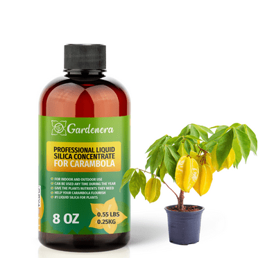 ⭐ PREMIUM Bioavailable Silica Fertilizer for Carambola – 8oz – Ideal for Hydroponics & Soil – Healthier Plants with Strong Stalks - CONCENTRATE