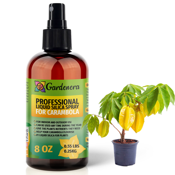 ⭐ PREMIUM Bioavailable Silica Fertilizer for Carambola – 8oz – Ideal for Hydroponics & Soil – Healthier Plants with Strong Stalks - SPRAY