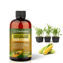 ⭐ PREMIUM Bioavailable Silica Fertilizer for Corn – 8oz – Ideal for Hydroponics & Soil – Healthier Plants with Strong Stalks - CONCENTRATE