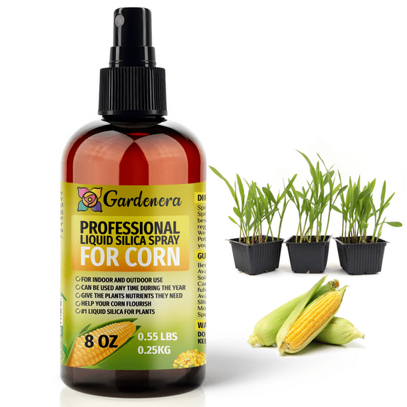 ⭐ PREMIUM Bioavailable Silica Fertilizer for Corn – 8oz – Ideal for Hydroponics & Soil – Healthier Plants with Strong Stalks - SPRAY