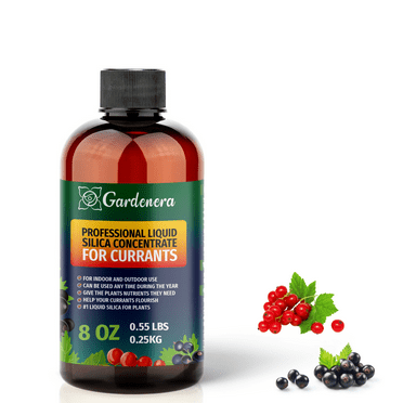 ⭐ PREMIUM Bioavailable Silica Fertilizer for Currants – 8oz – Ideal for Hydroponics & Soil – Healthier Plants with Strong Stalks - CONCENTRATE