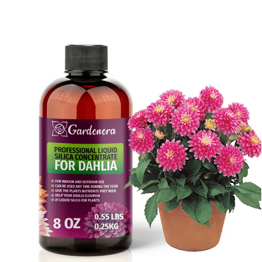 ⭐ PREMIUM Bioavailable Silica Fertilizer for Dahlia – 8oz – Ideal for Hydroponics & Soil – Healthier Plants with Strong Stalks - CONCENTRATE