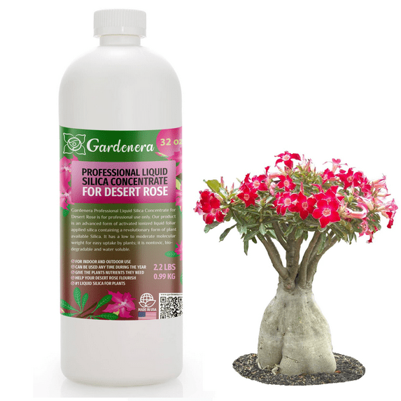 ⭐ PREMIUM Bioavailable Silica Fertilizer for Desert Rose – 32oz – Ideal for Hydroponics & Soil – Healthier Plants with Strong Stalks - CONCENTRATE