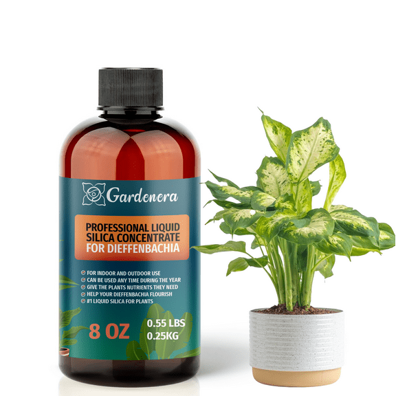 ⭐ PREMIUM Bioavailable Silica Fertilizer for Dieffenbachia – 8oz – Ideal for Hydroponics & Soil – Healthier Plants with Strong Stalks - CONCENTRATE