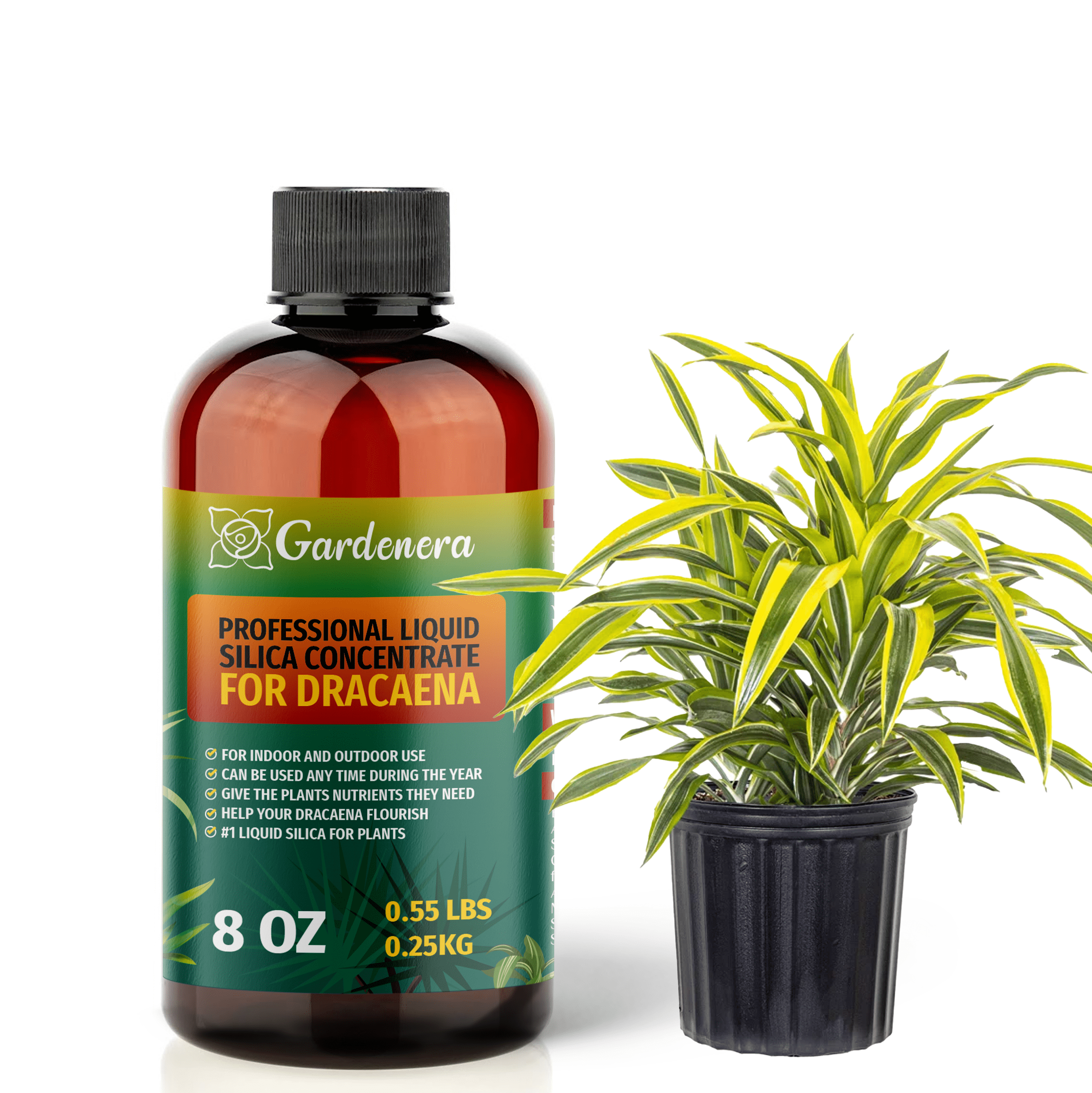 PREMIUM Bioavailable Silica Fertilizer for Dracaena  8oz  Ideal for  Hydroponics & Soil  Healthier Plants with Strong Stalks - CONCENTRATE -  Walmart.com