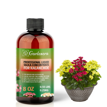 ⭐ PREMIUM Bioavailable Silica Fertilizer for Kalanchoe – 8oz – Ideal for Hydroponics & Soil – Healthier Plants with Strong Stalks - CONCENTRATE