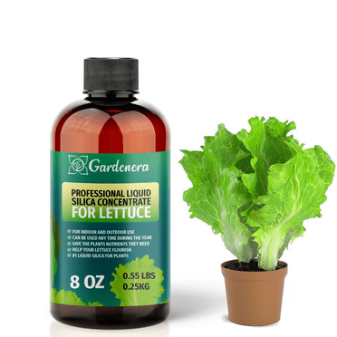 ⭐ PREMIUM Bioavailable Silica Fertilizer for Lettuce – 8oz – Ideal for Hydroponics & Soil – Healthier Plants with Strong Stalks - CONCENTRATE
