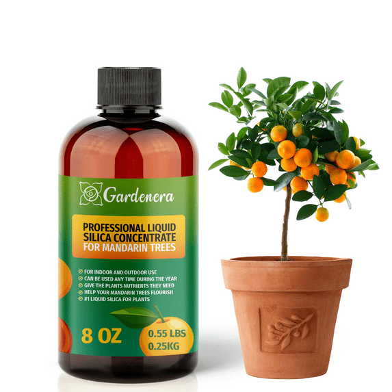⭐ PREMIUM Bioavailable Silica Fertilizer for Mandarin Trees – 8oz – Ideal for Hydroponics & Soil – Healthier Plants with Strong Stalks - CONCENTRATE