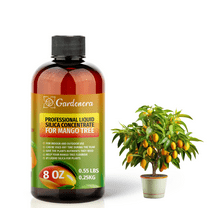 ⭐ PREMIUM Bioavailable Silica Fertilizer for Mango Tree – 8oz – Ideal for Hydroponics & Soil – Healthier Plants with Strong Stalks - CONCENTRATE