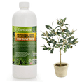 thumbnail image 1 of ⭐ PREMIUM Bioavailable Silica Fertilizer for Olive Tree – 32oz – Ideal for Hydroponics & Soil – Healthier Plants with Strong Stalks - CONCENTRATE, 1 of 7