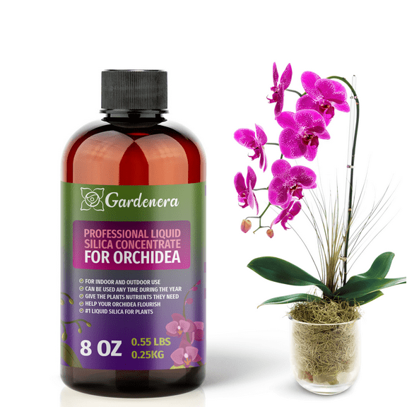 ⭐ PREMIUM Bioavailable Silica Fertilizer for Orchidea – 8oz – Ideal for Hydroponics & Soil – Healthier Plants with Strong Stalks - CONCENTRATE