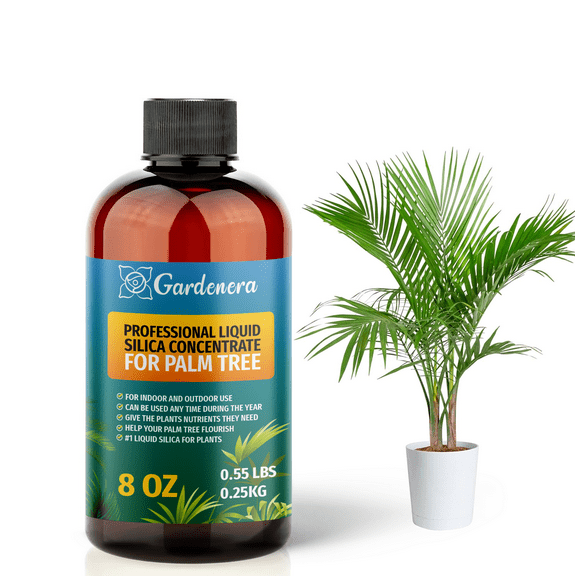 ⭐ PREMIUM Bioavailable Silica Fertilizer for Palm Tree – 8oz – Ideal for Hydroponics & Soil – Healthier Plants with Strong Stalks - CONCENTRATE