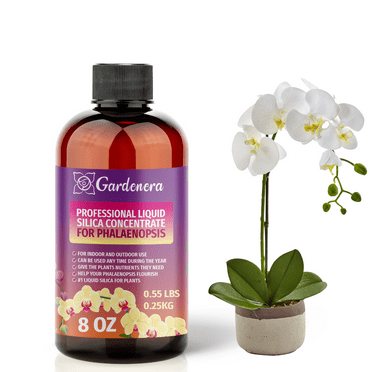 ⭐ PREMIUM Bioavailable Silica Fertilizer for Phalaenopsis – 8oz – Ideal for Hydroponics & Soil – Healthier Plants with Strong Stalks - CONCENTRATE