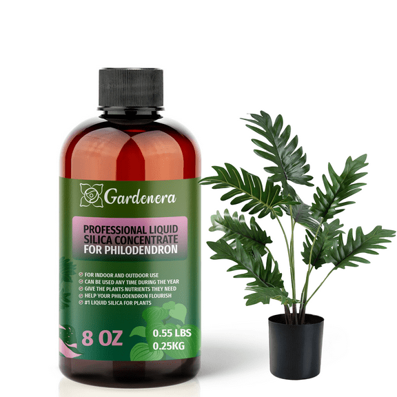 ⭐ PREMIUM Bioavailable Silica Fertilizer for Philodendron – 8oz – Ideal for Hydroponics & Soil – Healthier Plants with Strong Stalks - CONCENTRATE