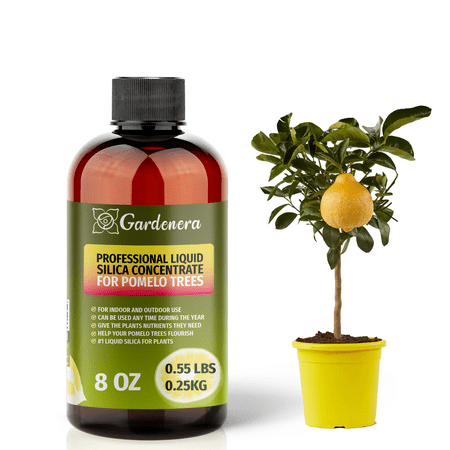 ? PREMIUM Bioavailable Silica Fertilizer for Pomelo Trees – 8oz – Ideal for Hydroponics & Soil – Healthier Plants with Strong Stalks - CONCENTRATE