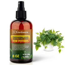 ⭐ PREMIUM Bioavailable Silica Fertilizer for Pothos – 8oz – Ideal for Hydroponics & Soil – Healthier Plants with Strong Stalks - CONCENTRATE
