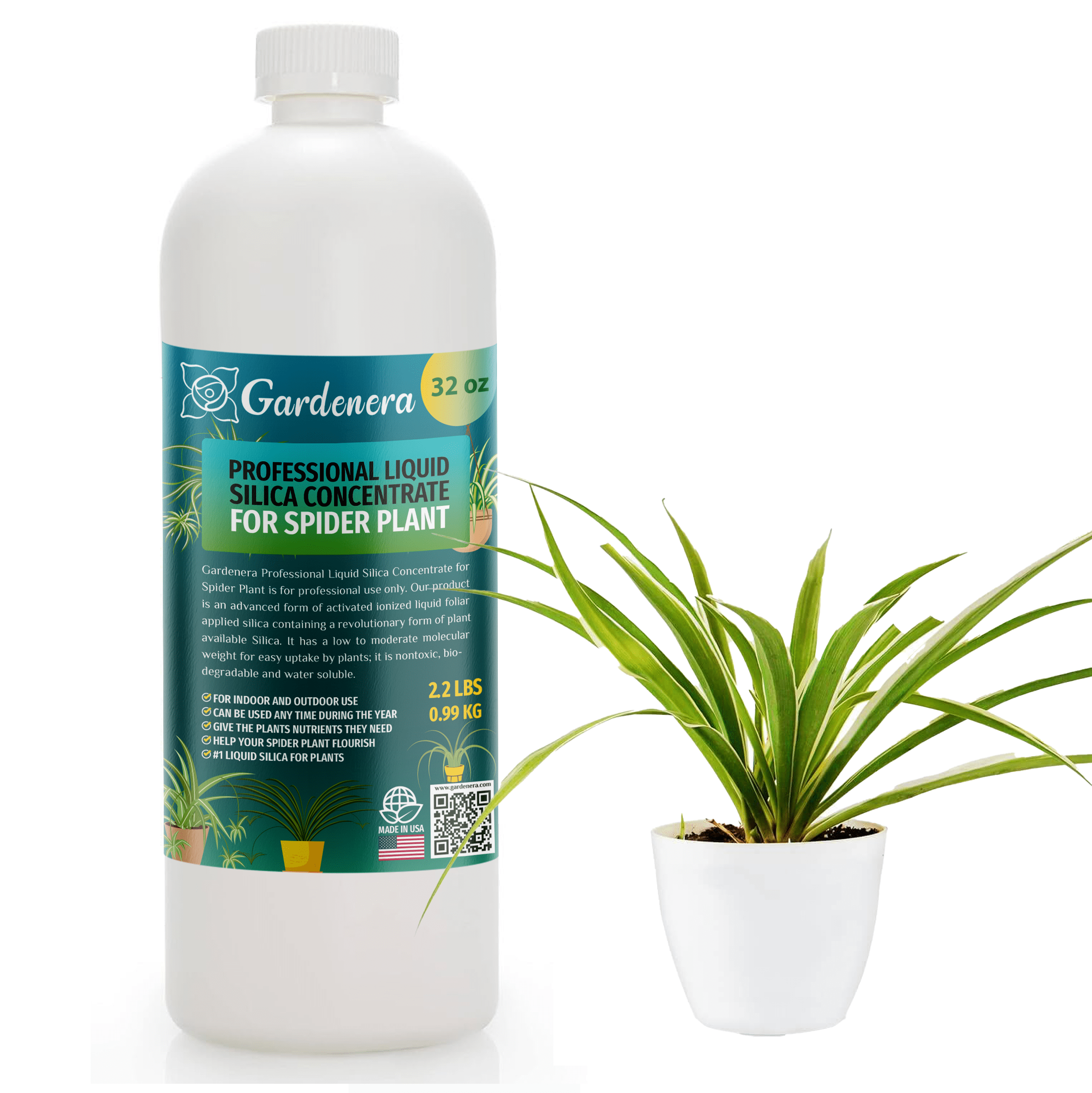 PREMIUM Bioavailable Silica Fertilizer for Spider Plant  32oz  Ideal  for Hydroponics & Soil  Healthier Plants with Strong Stalks - CONCENTRATE