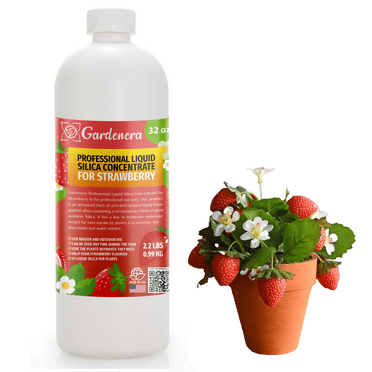 ⭐ PREMIUM Bioavailable Silica Fertilizer for Strawberry – 32oz – Ideal for Hydroponics & Soil – Healthier Plants with Strong Stalks - CONCENTRATE