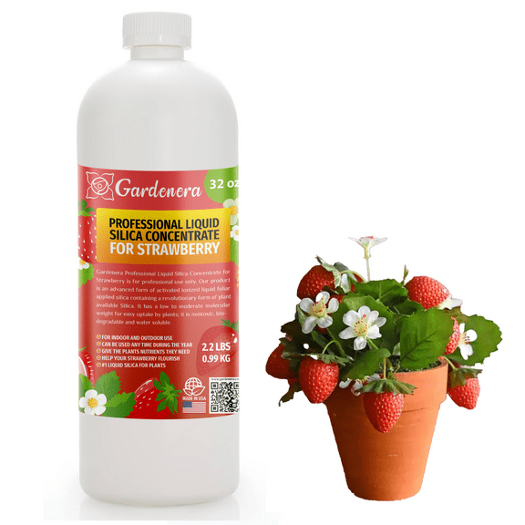 ⭐ PREMIUM Bioavailable Silica Fertilizer for Strawberry – 32oz – Ideal for Hydroponics & Soil – Healthier Plants with Strong Stalks - CONCENTRATE