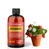 ⭐ PREMIUM Bioavailable Silica Fertilizer for Strawberry – 8oz – Ideal for Hydroponics & Soil – Healthier Plants with Strong Stalks - CONCENTRATE
